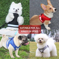 Kuber Industries Reflective Dog Harness with Adjustable Leash|Breathable Polyester Mesh Fabric |Small Size|HT-844|Comfortable No-Pull Grip|Quick Release Buckles|Easy On-Off Harness|Black (Pack of 3)