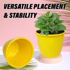 Kuber Industries Flower Pot | Flower Pots for Indoor & Outdoor | Plastic Pot for Gardening | Planter for Flower | Balcony Flower Pot with Drain Holes | Duro Flower Pot | 8 Inch | Pack of 6 | Multi