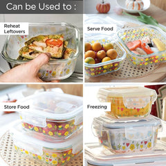 Kuber Industries Borosilicate Printed Container With Lid (Square) | JDA052-MUL | Transparent | Pack Of 2