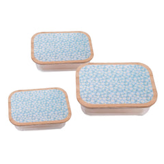 Kuber Industries Pack of 3 Borosilicate Glass Kitchen Containers with Bamboo Lid | 370ml 640ml 1060ml | Airtight Rectangular Fridge Storage Boxes |Kitchen organizer items & storage Dandy Diasies Print