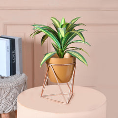 Homestic Planter | Planter Stand for Garden | Plant Stand for Home | Planter Pot Stand for Outdoor | Gamla Stand for Home | Metal Indoor Pots with Drainage Hole | Set of 1 | Gold