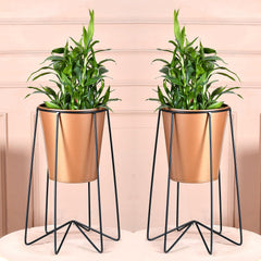 Urbane Home Planter | Planter Pot Stand for Outdoor | Plant Stand for Living Room | Gamla Stand for Home | Plant Stand for Home | Metal Pot Stand with Bucket Planter | Set of 2 | Gold