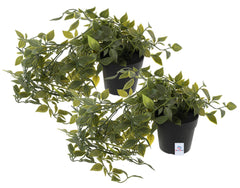 Heart Home Artificial Vine Plants with Pot Natural Look & Plastic Material Easy Home Décor with Small Size Pot Size 27 X 75 X7 Cm, Pack of 2 (Green), Vine;Pine;Fern;Ivy