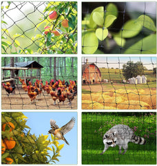 Kuber Industries UV Stabilised Anti Bird Net|Garden Net & 25 mm Holes|Size 25x10 Ft. (White)-HS43KUBMART26865