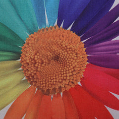 Kuber Industries Cotton 4 Pieces Cushion Cover Set (White) -CTKTC8888