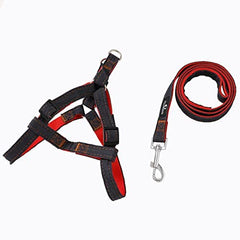 Urbane Home Dog Chest Belt Harness With Adjustable Leash|Premium Demin Fabric|Metal Hooks |PDMGL-013-03| Comfortable Grip|Double Stitched Belt With Soft Padding |Blue