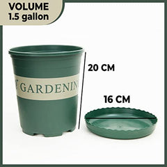 Kuber Industries Pack of 1 Plant Pot|Durable & Lightweight|Water Drainage Holes|Plastic Flower Pot|Medium|Green