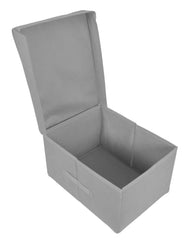 Heart Home Non-Woven Mickey Mouse Print Flodable Storage Box/Wardrobe Organizer With Lid For Home Decor, Pack of 2 (Grey) 54HH4235.