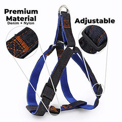 Kuber Industries Dog Belt Combo of Nylon Chest Harness with Leash I Dog Rope for Small to Medium Breeds I Waterproof Harness Chain for Pets (Blue)
