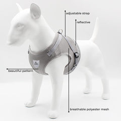 Homestic Reflective Dog Harness with Adjustable Leash|Breathable Polyester Mesh Fabric |Small Size|HT-844|Comfortable No-Pull Grip|Quick Release Buckles|Easy On - Easy Off Harness|Grey