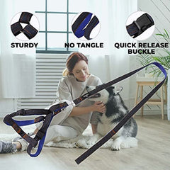 Kuber Industries Dog Belt Combo of Nylon Chest Harness with Leash I Dog Rope for Small to Medium Breeds I Waterproof Harness Chain for Pets (Blue)