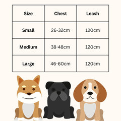 Kuber Industries Dog Harness with Adjustable Leash|Breathable Polyester Mesh|Small Size|Comfortable No-Pull Grip | Quick Release Buckles | Pink Pet Walking Set | Secure and Stylish Dog Harness