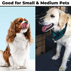 Kuber Industries Animal Feeding Plastic 2 in 1 Pet Bowls | Cat & Dog Bowl | Small/Medium Size Pet Feeding Bowl | Non-Toxic & 100% Safe for Pets (Pack of 1) | Light Green