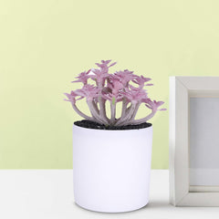 Homestic Artificial Plants for Home D?cor|Natural Looking Indoor Fake Plants with Pot|Artificial Flowers for Decoration (Lavender)
