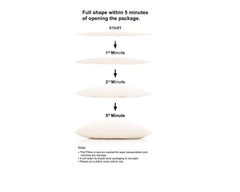 Heart Home Luxurious 5 Piece Microf ibre Pillow Filler - 17X27, White Cthh3024(Microf ibre_White)