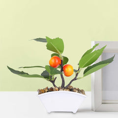 Kuber Industries Artificial Plants for Home Décor|Natural Looking Indoor Fake Plants with Pot|Artificial Flowers for Decoration (Orange)