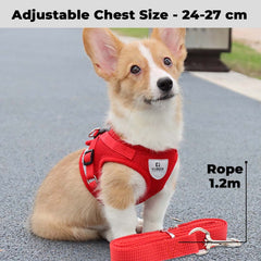 Homestic Reflective Dog Harness with Adjustable Leash|Breathable Polyester Mesh Fabric |XS Size|HT-844|Comfortable No-Pull Grip|Quick Release Buckles|Easy On - Easy Off Harness|Red