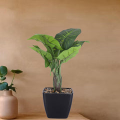 Kuber Industries Artificial Plants For Home Décor|Artificial Flowers For Decoration|Natural Looking Indoor Fake Plants With Pot (Green)