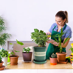 Kuber Industries Pack of 1 Plant Pot|Durable & Lightweight|Water Drainage Holes|Plastic Flower Pot|Medium|Green