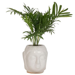 Kuber Industries Buddha Flower Pot|Buddha Head Shape Flower Planter|Plastic Flower Plant for Home Décor|Office Décor|Pack of 6 (White)