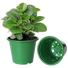 Kuber Industries Plastic Planters|Gamla|Flower Pots for Garden Nursery Home Décor,8"x6",Pack of 8 (Green)