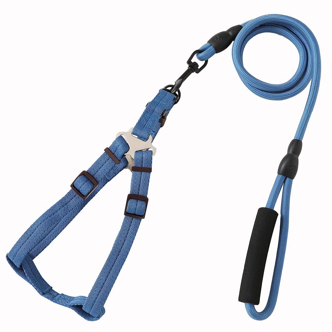 Kuber Industries Dog Harness For Medium Dogs & Leash Set|Premium Metal Hook|Hand Spliced Belt For Added Strength |PDMGL-005-3 |Blue