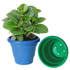 Heart Home Solid 2 Layered Plastic Flower Pot|Gamla for Home Decor,Nursery,Balcony,Garden,6"x5",Pack of 3 (Blue & Orange & Green)