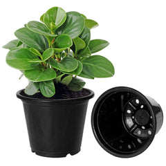 Kuber Industries Durable Plastic Flower Pot|Gamla with Drain Holes for Indoor Home Decor & Outdoor Balcony,Garden,6"x5",Pack of 5 (Black)