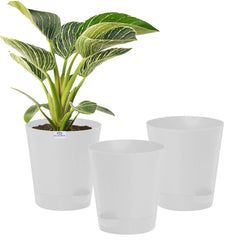 Heart Home Plastic Titan Pot|Garden Container for Plants & Flowers|Self-Watering Pot with Drainage Holes,6 Inch,Pack of 3 (White)