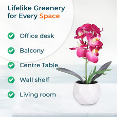 Kuber Industries Artificial Plants for Home Décor|Natural Looking Indoor Fake Plants with Pot|Artificial Flowers for Decoration (Pink)