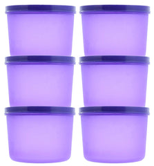 Kuber Industries Plastic 6 Pieces Kitchen Storage Spice Containers, Fridge Container, Food Utility Box, Food Storage Containers Jars 400 Ml (Purple) - CTLTC43867