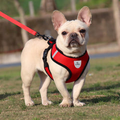 Kuber Industries Small Dog/Cat Chest Harness with Nylon Leash I No Pull, Soft Padded and Breathable Pet Vest I Adjustable, Reflective I Easy Control Pet Chest Belt I (Small,Red)