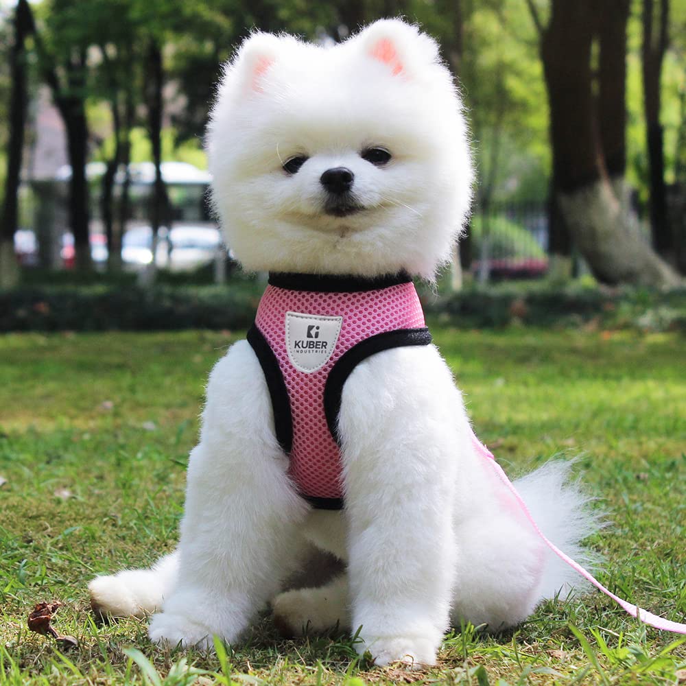Kuber Industries Small Dog/Cat Chest Harness with Nylon Leash I No Pull, Soft Padded and Breathable Pet Vest I Adjustable, Reflective I Easy Control Pet Chest Belt I (XX-Small,Pink)