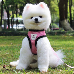 Kuber Industries Small Dog/Cat Chest Harness with Nylon Leash I No Pull, Soft Padded and Breathable Pet Vest I Adjustable, Reflective I Easy Control Pet Chest Belt I (XX-Small,Pink)