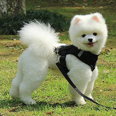Kuber Industries Small Dog/Cat Chest Harness with Nylon Leash I No Pull, Soft Padded and Breathable Pet Vest I Adjustable, Reflective I Easy Control Pet Chest Belt I (Small,Black)