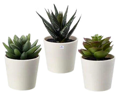 Heart Home Artificial Set of 3 Mini Realistic Fake Plants with Plastic Pots for Home and Office Decoration (Green), Standard (HS39HEARTH023711)