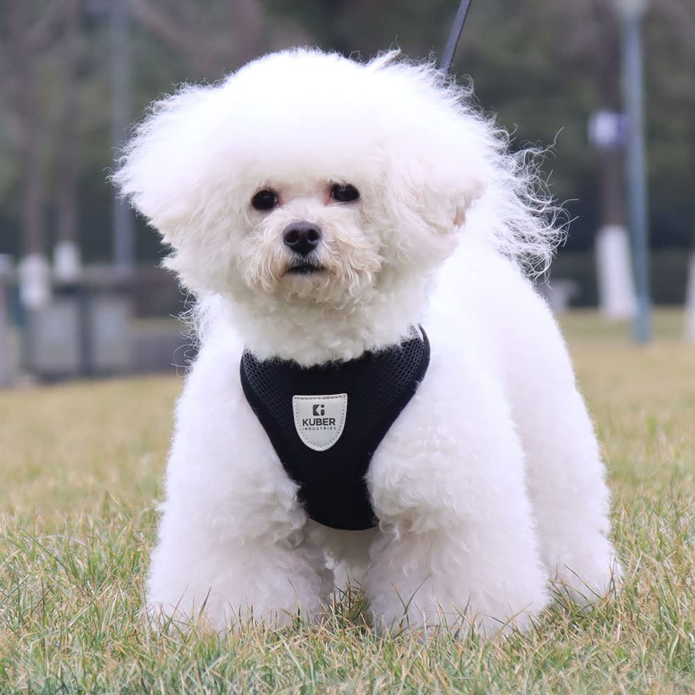 Kuber Industries Small Dog/Cat Chest Harness with Nylon Leash I No Pull, Soft Padded and Breathable Pet Vest I Adjustable, Reflective I Easy Control Pet Chest Belt I (X-Small,Black)