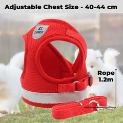 Kuber Industries Dog Chest Harness with Nylon Leash I No Pull, Soft Padded and Breathable Dog Vest I Adjustable, Reflective I Easy Control Dog Chest Belt I (Large, Red)