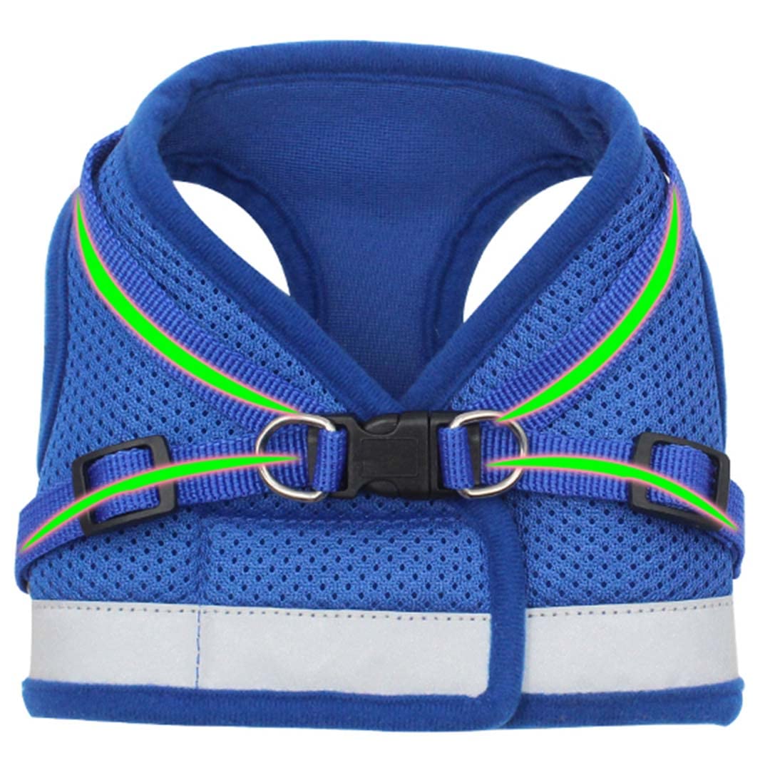 Homestic Reflective Dog Harness with Adjustable Leash|Breathable Polyester Mesh Fabric |Large Size|HT-844|Comfortable No-Pull Grip|Quick Release Buckles|Easy On - Easy Off Harness|Blue