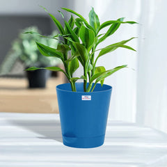 Heart Home Plastic Titan Pot|Garden Container for Plants & Flowers|Self-Watering Pot with Drainage Holes,6 Inch,Pack of 4 (Blue)
