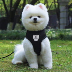 Kuber Industries Small Dog/Cat Chest Harness with Nylon Leash I No Pull, Soft Padded and Breathable Pet Vest I Adjustable, Reflective I Easy Control Pet Chest Belt I (XX-Small,Black)