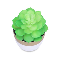 Homestic Artificial Plants for Home D?cor|Natural Looking Indoor Fake Plants with Pot|Artificial Flowers for Decoration (Green)