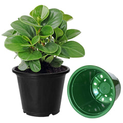 Kuber Industries Plastic Planters|Gamla|Flower Pots for Garden Nursery Home Décor,8"x6",Pack of 5 (Multicolor)