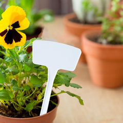 Kuber Industries Garden Tags/Plant Lables Tag|Markers lables for Garden Plant|Pack of 10 (White)