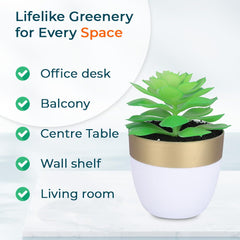 Homestic Artificial Plants for Home D?cor|Natural Looking Indoor Fake Plants with Pot|Artificial Flowers for Decoration (Green)