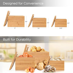 Homestic Storage Box | Kitchen Stoarge Organizer | Vegetable Basket for Kitchen | Fruit Containers With Bambo Lid | 3 Different Containers | FM001NR | Set of 3 | Brown