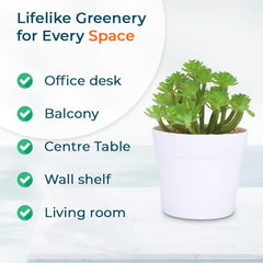Kuber Industries Artificial Plants for Home Décor|Natural Looking Indoor Fake Plants with Pot|Artificial Flowers for Decoration (Green)