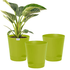 Heart Home Plastic Titan Pot|Garden Container for Plants & Flowers|Self-Watering Pot with Drainage Holes,6 Inch,Pack of 3 (Green)