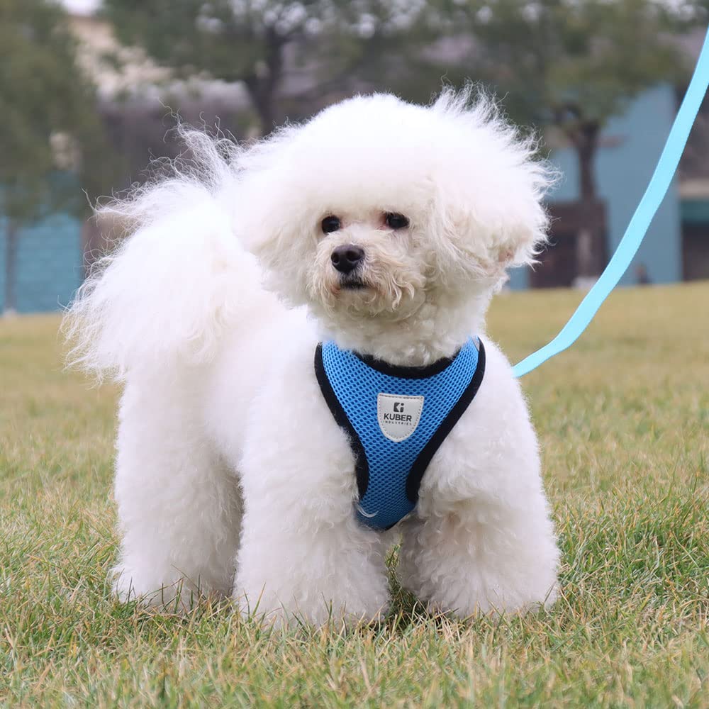 Kuber Industries Small Dog/Cat Chest Harness with Nylon Leash I No Pull, Soft Padded and Breathable Pet Vest I Adjustable, Reflective I Easy Control Pet Chest Belt I (XX-Small,Blue)