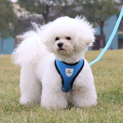 Kuber Industries Small Dog/Cat Chest Harness with Nylon Leash I No Pull, Soft Padded and Breathable Pet Vest I Adjustable, Reflective I Easy Control Pet Chest Belt I (XX-Small,Blue)